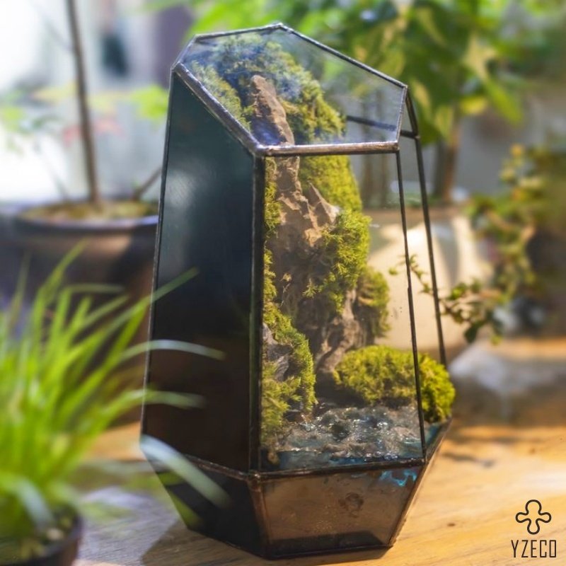 Hot Selling Creative Desktop Moss Micro Landscape Finished Bonsai For Desktop Decoration