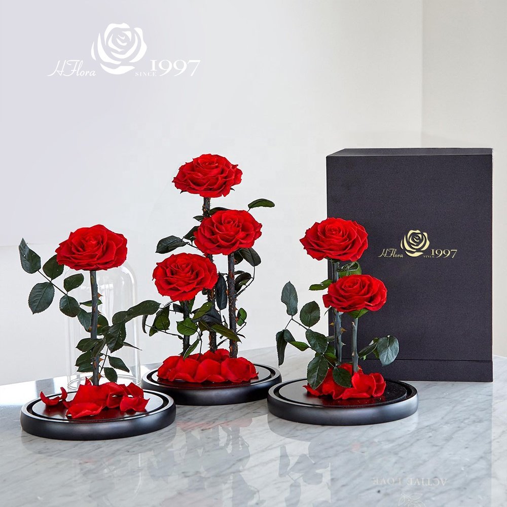 HFlora Hot Selling Natural Eternal Rose Forever Roses Birthday Valentine Father's Day Gift Preserved Flower Glass Dome Rose