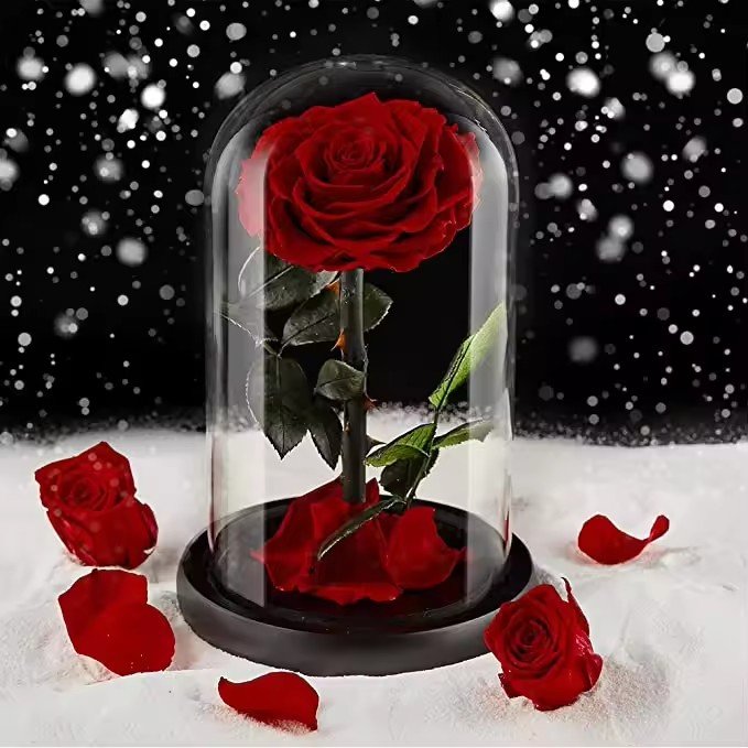 Wholesale Beauty Eternal Preserved Roses Flower Classics Eternal Preserved Roses Flower in Glass Dome