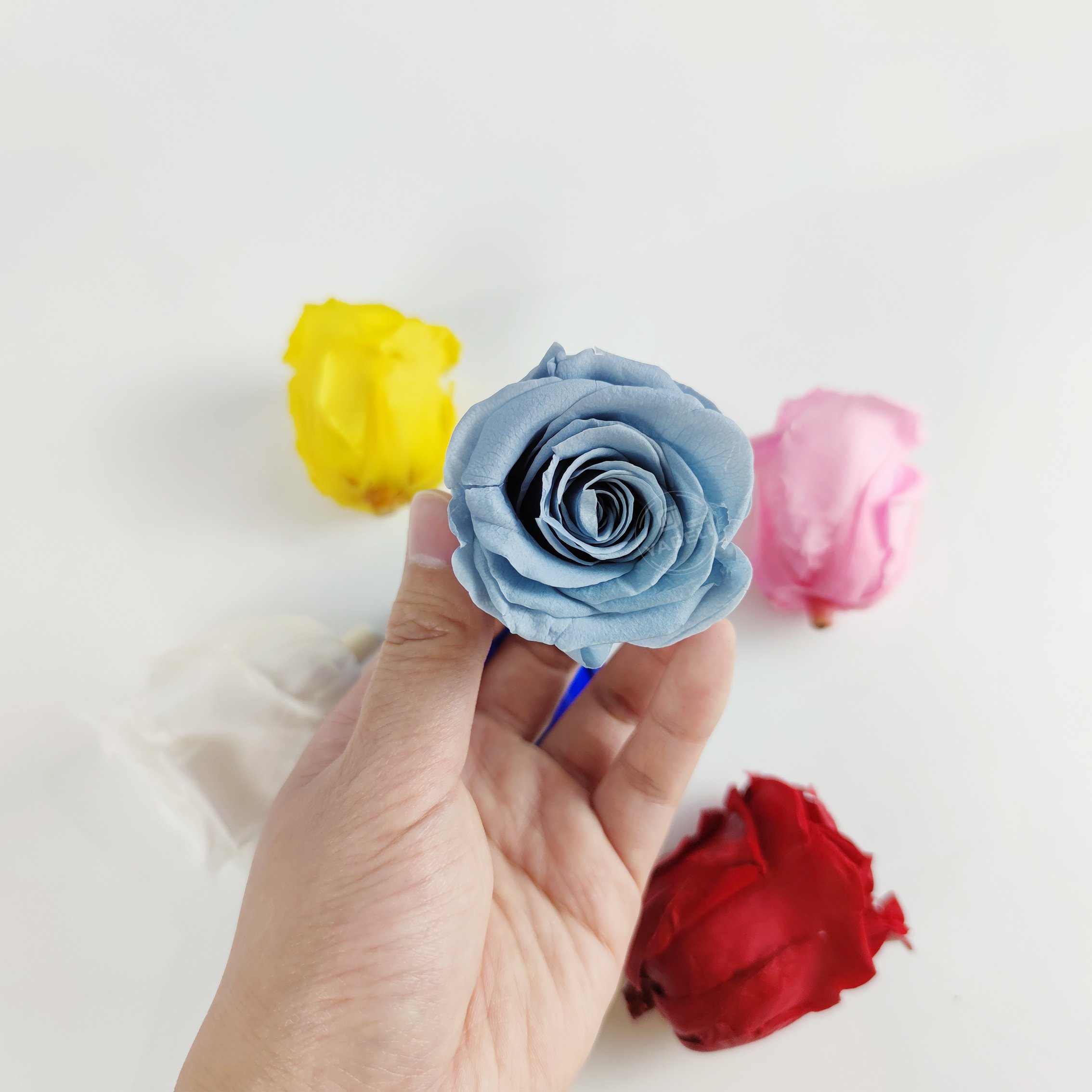 YAGELI china wholesale real fresh flower preservative roses preserved flower for wedding