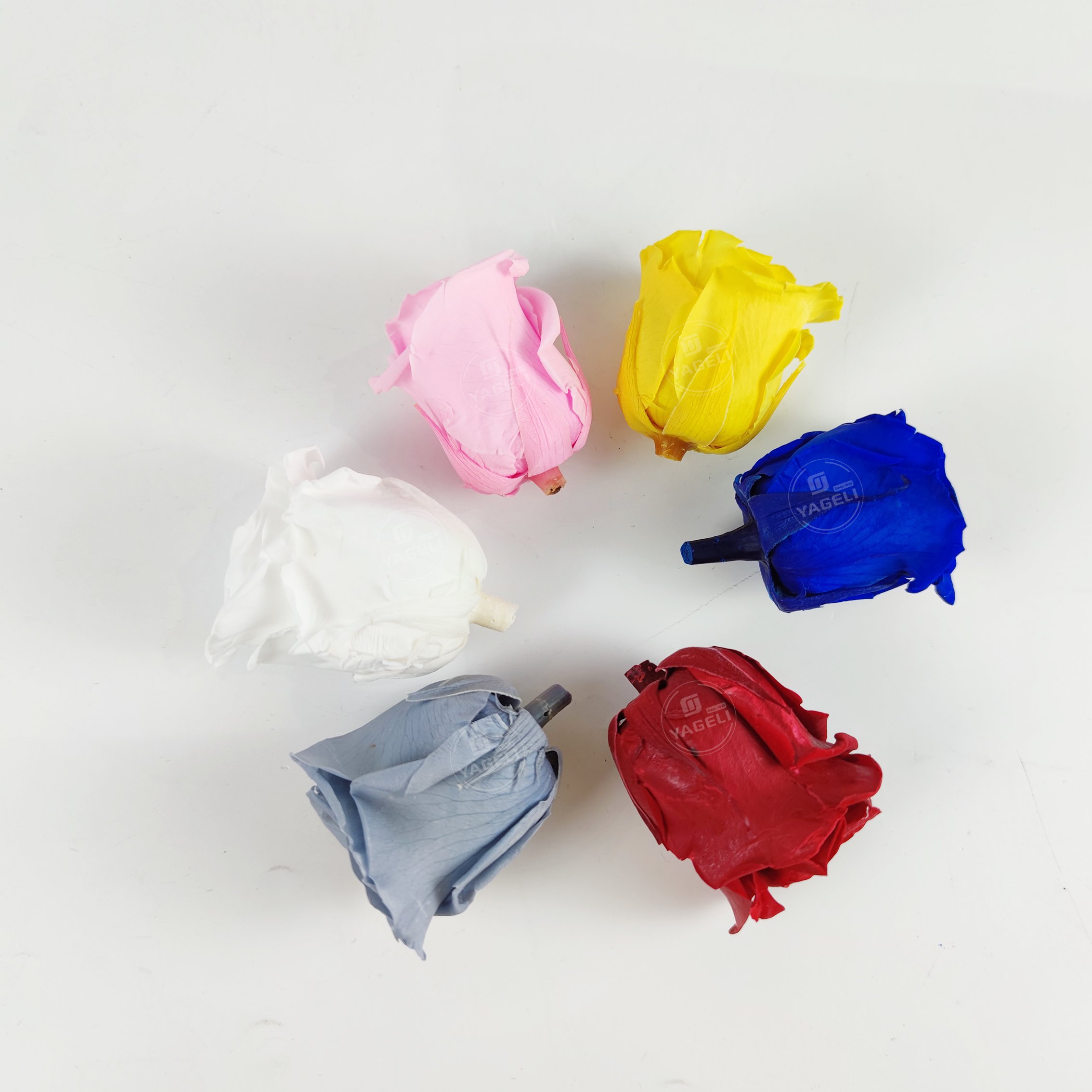 YAGELI china wholesale real fresh flower preservative roses preserved flower for wedding
