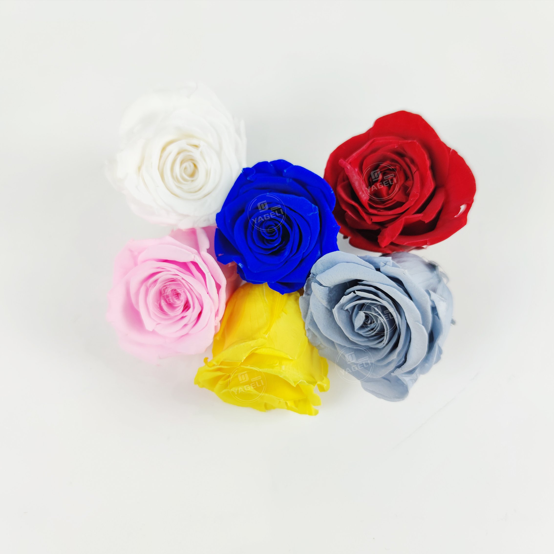 YAGELI china wholesale real fresh flower preservative roses preserved flower for wedding