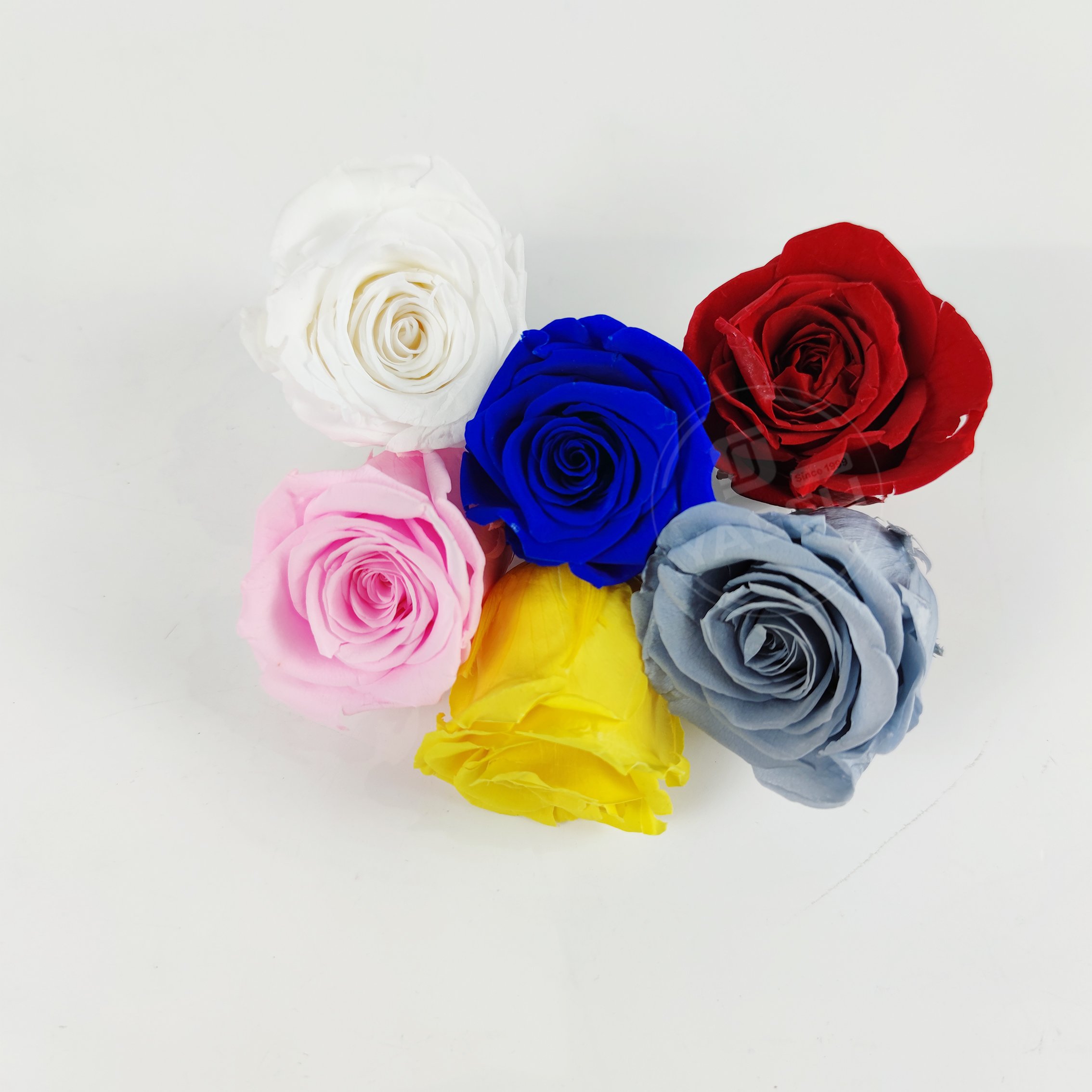 YAGELI china wholesale real fresh flower preservative roses preserved flower for wedding