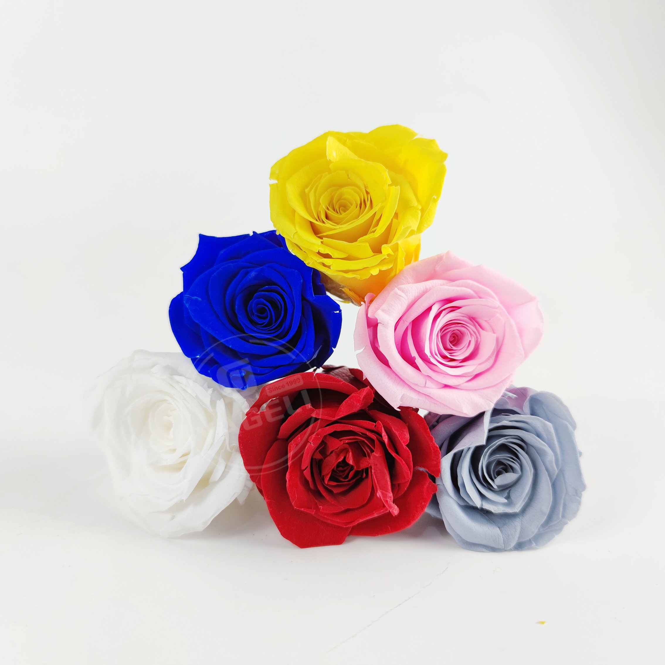 YAGELI china wholesale real fresh flower preservative roses preserved flower for wedding