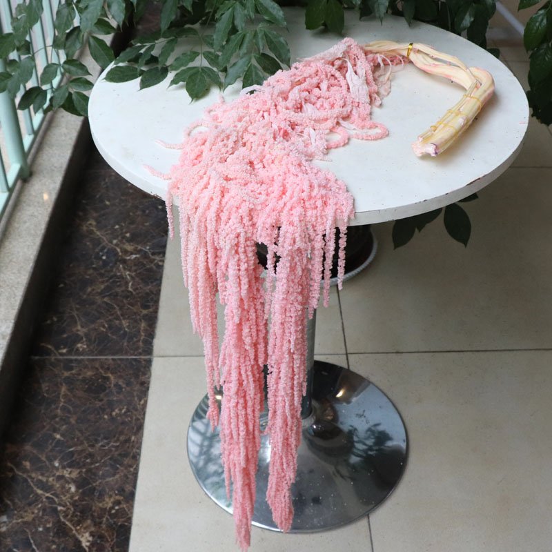 2023 Factory hot sale Preserved Amaranthus Dried Flowers DIY Floral Hanging Bouquets Celebration Arrangement Wedding