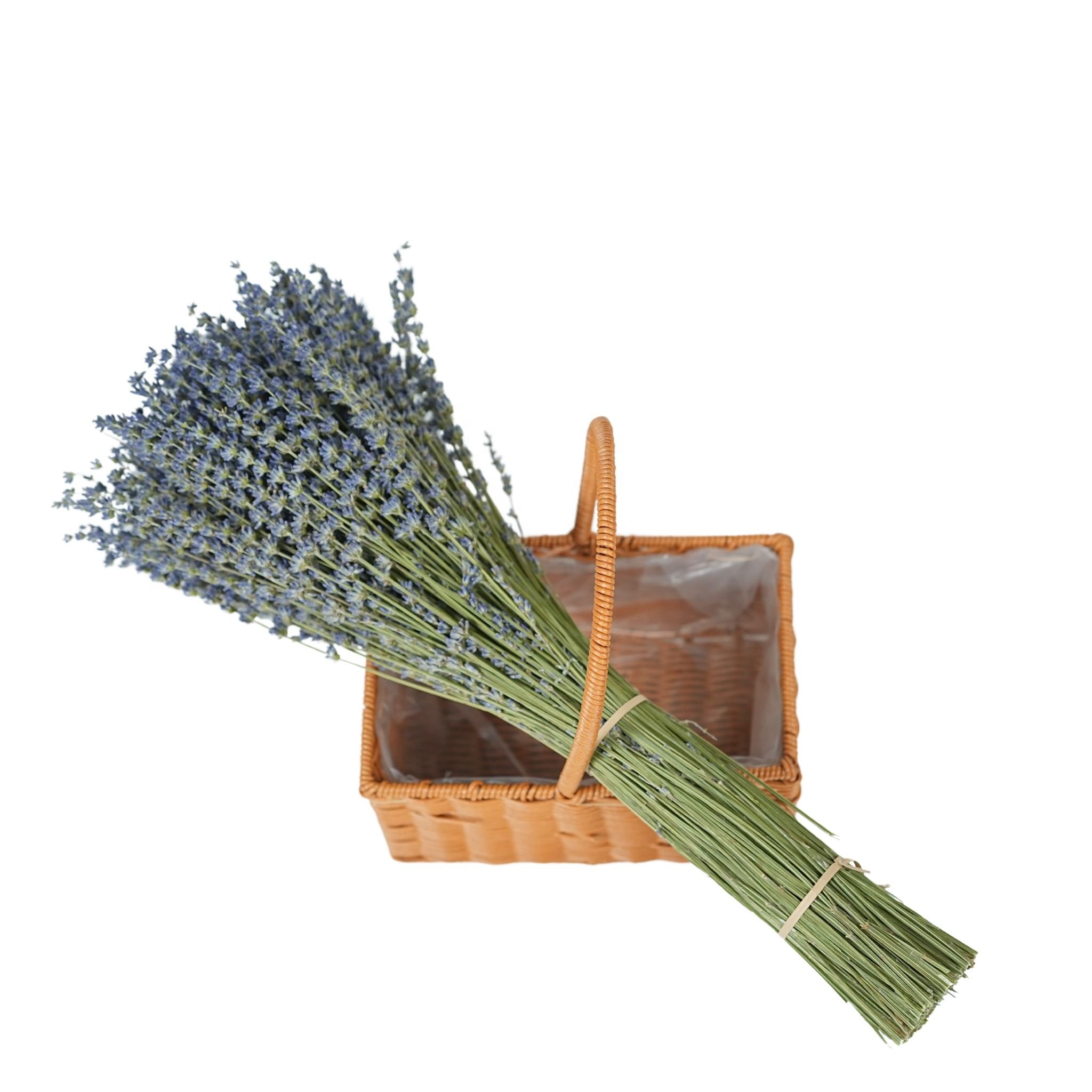 dried flowers Wholesale Wedding Gift Natural Fresh Real Touch Eternal Dried Flower Forever Preserved Flower Lavender