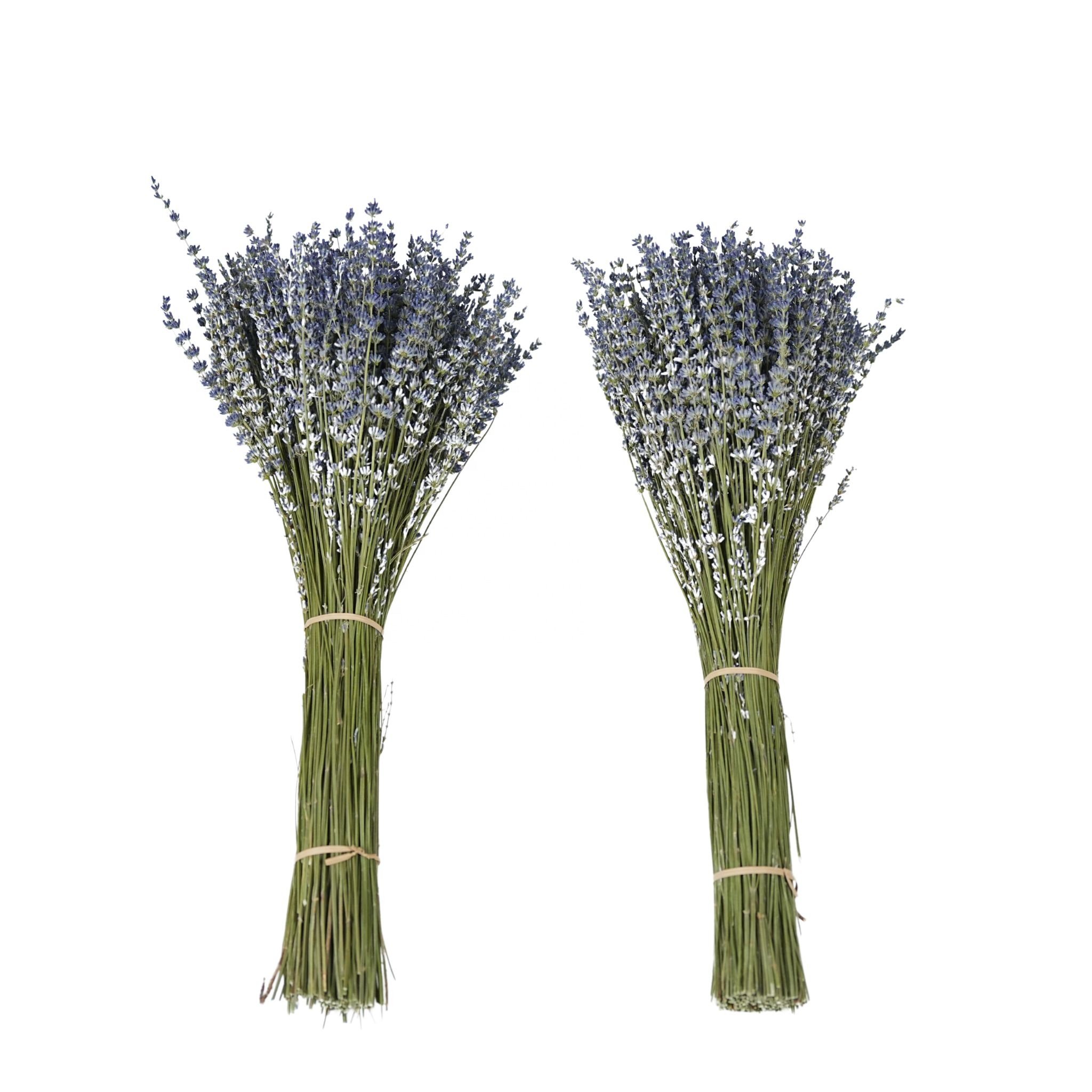 dried flowers Wholesale Wedding Gift Natural Fresh Real Touch Eternal Dried Flower Forever Preserved Flower Lavender