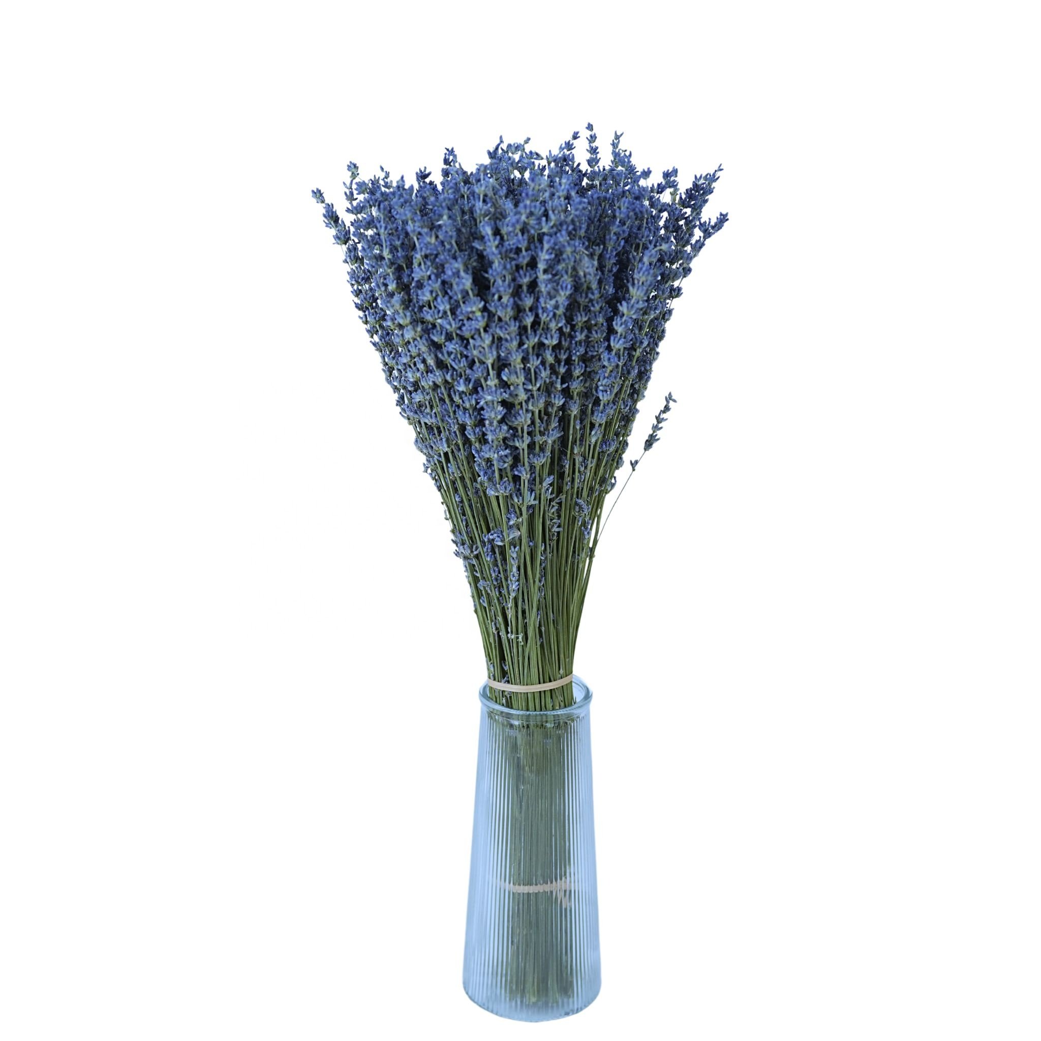 dried flowers Wholesale Wedding Gift Natural Fresh Real Touch Eternal Dried Flower Forever Preserved Flower Lavender