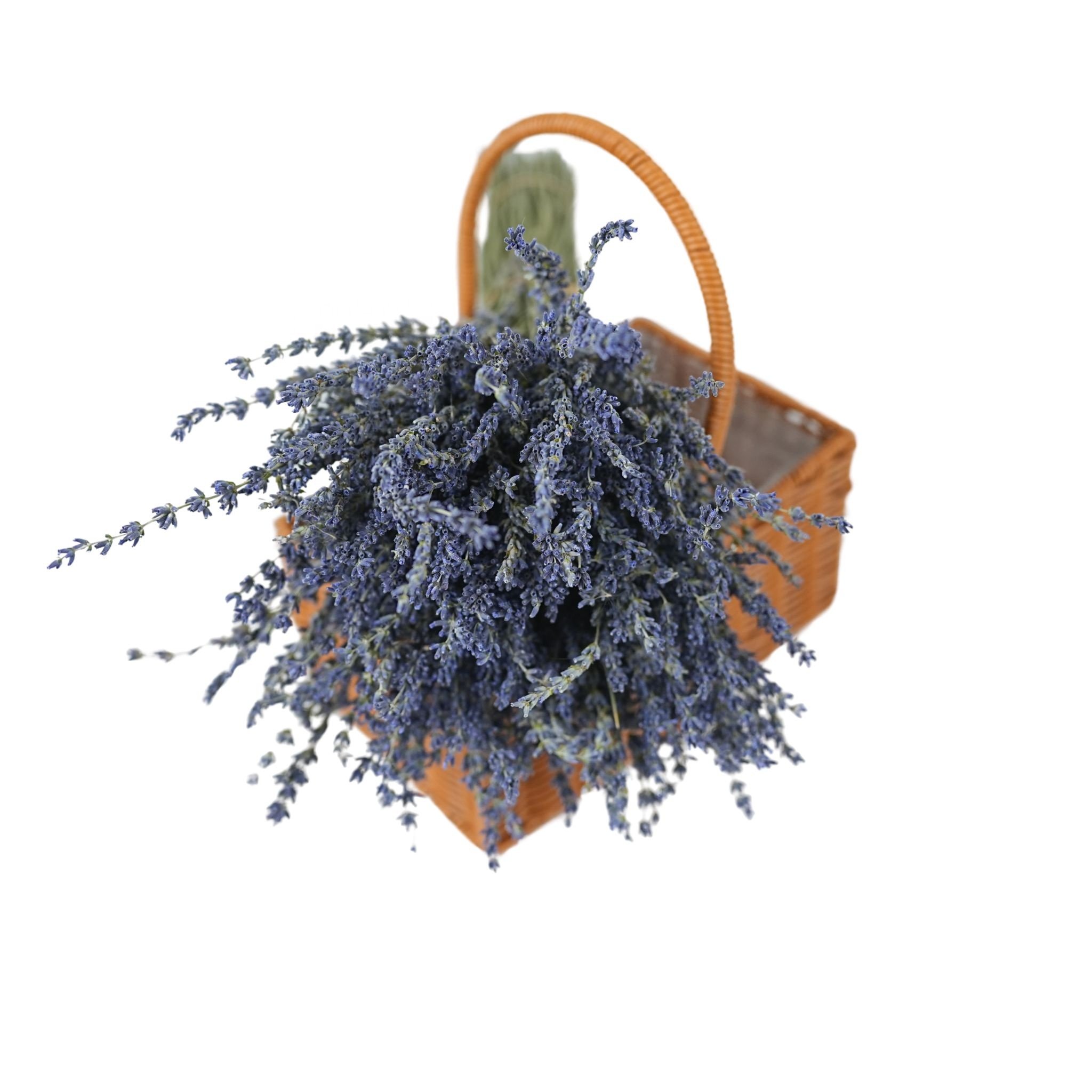 dried flowers Wholesale Wedding Gift Natural Fresh Real Touch Eternal Dried Flower Forever Preserved Flower Lavender