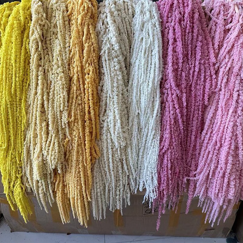 Natural Preserved Amaranthus Flowers Hanging type flower material