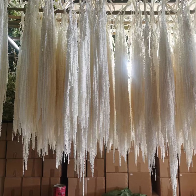 Natural Preserved Amaranthus Flowers Hanging type flower material