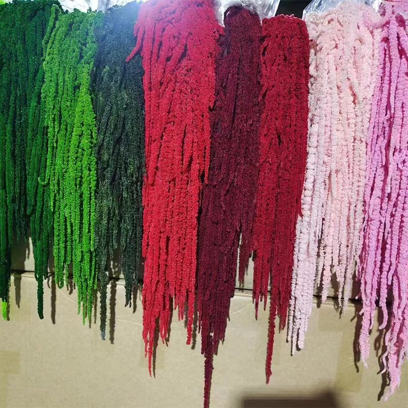 Natural Preserved Amaranthus Flowers Hanging type flower material