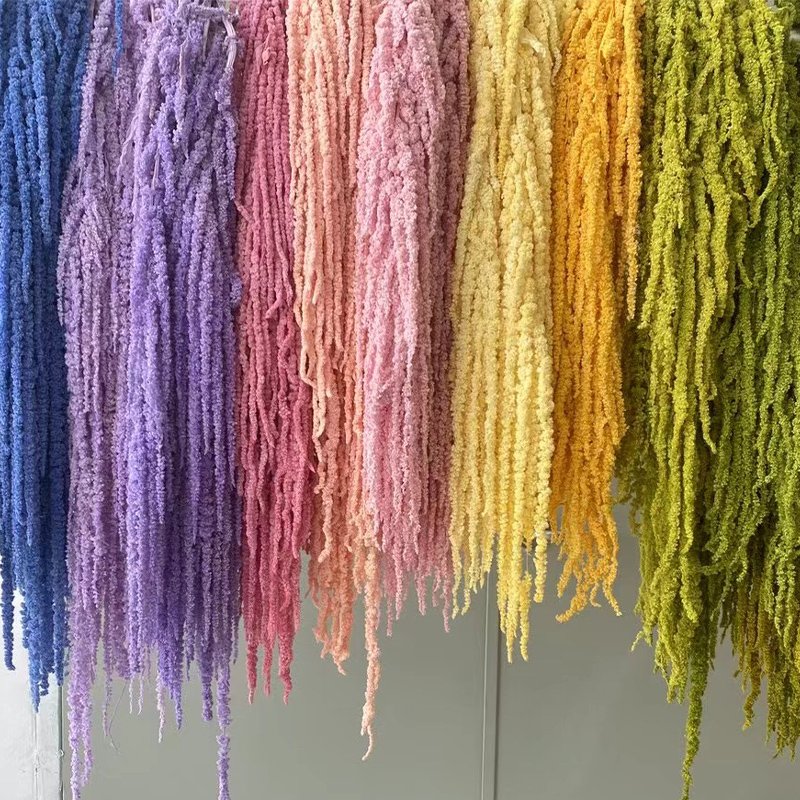 Natural Preserved Amaranthus Flowers Hanging type flower material