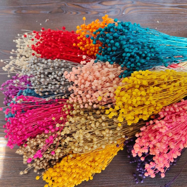 16-Color Rich Beans Dried Flowers Preserved 50g Bouquet and Handicrafts Bundles for Mother's Day