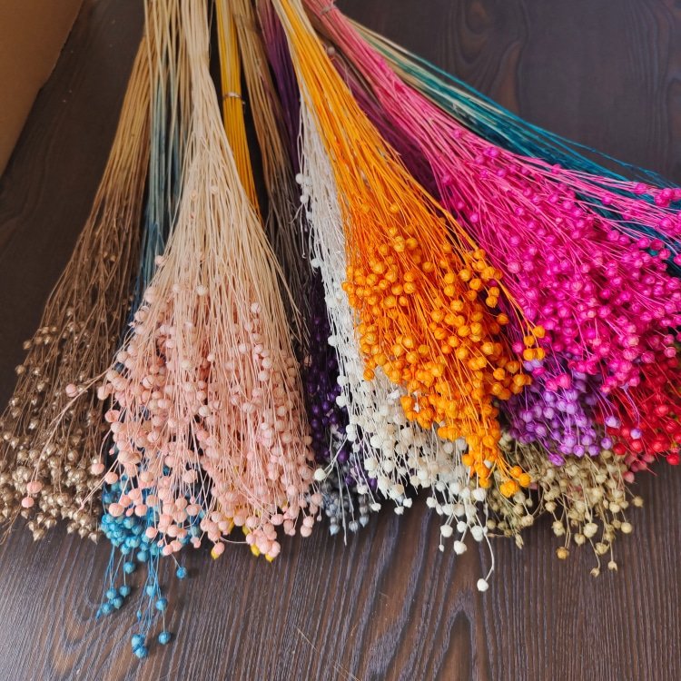 16-Color Rich Beans Dried Flowers Preserved 50g Bouquet and Handicrafts Bundles for Mother's Day