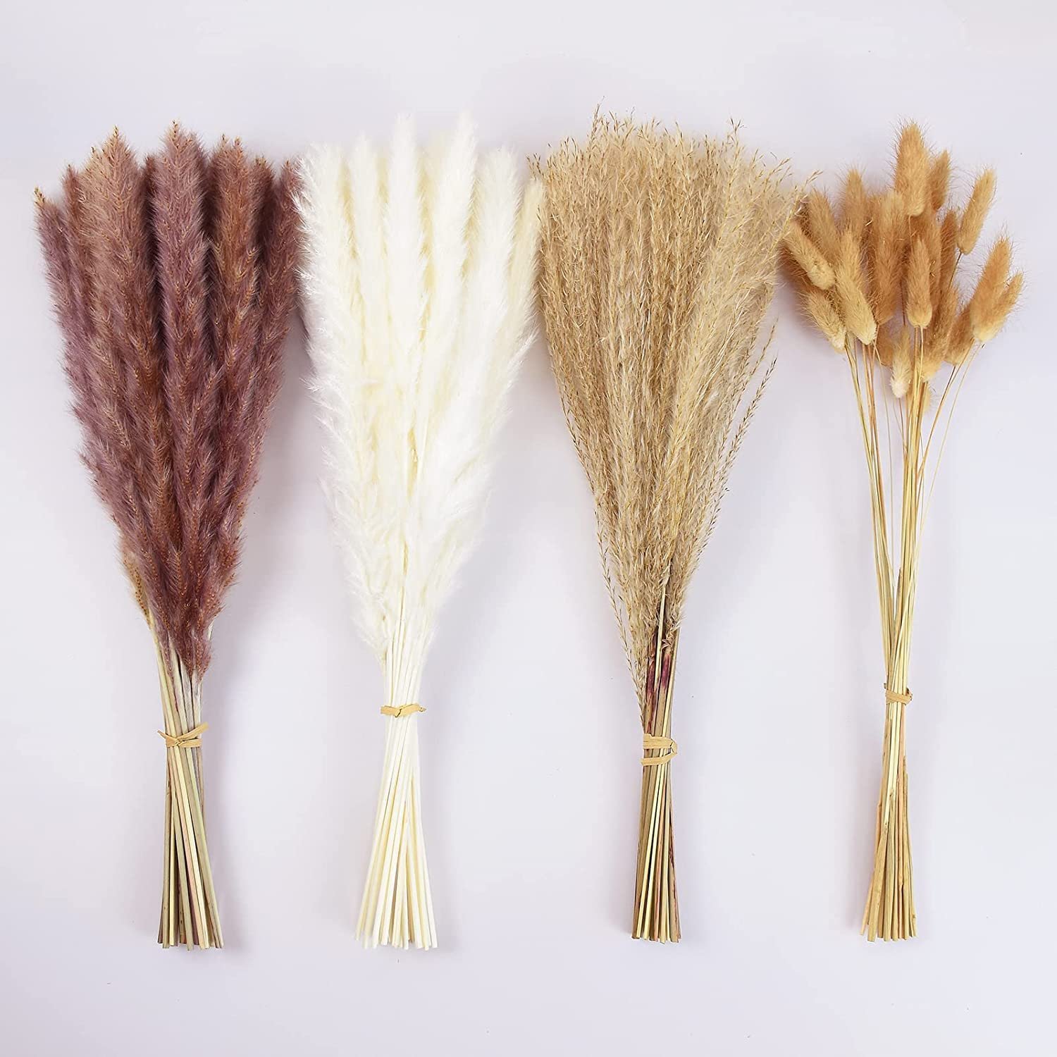 Large Size Preserved Flower Dried Pampas Grass For Wedding Decor