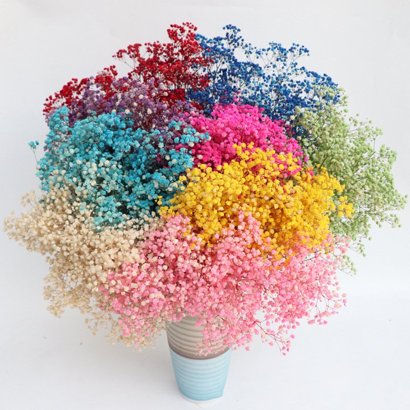 wholesale multiple colour Gypsophila natural dried preserved gypsophila flower bouquet