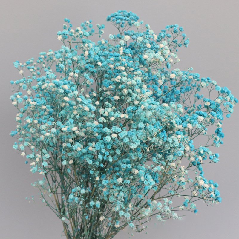 wholesale multiple colour Gypsophila natural dried preserved gypsophila flower bouquet