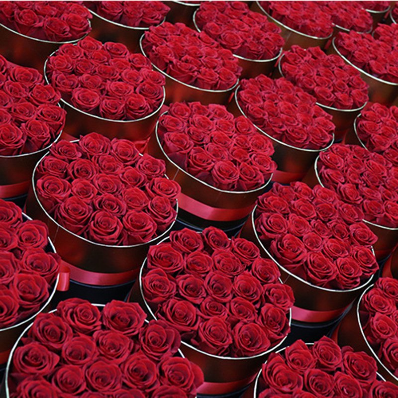 Valentine Gift Hot Sale Everlasting Rose Natural Eternal Immortal Decorative Flower Stabilized Forever Preserved Roses in Box