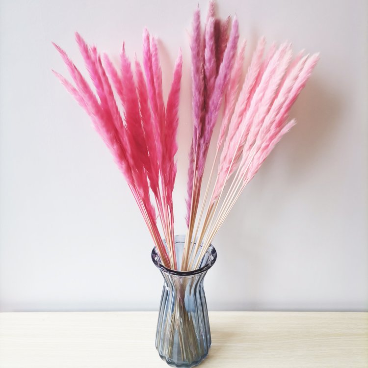 sumflora 2024 new arrivals yellow natural eternal flower best quality dried flowers small pampas grass