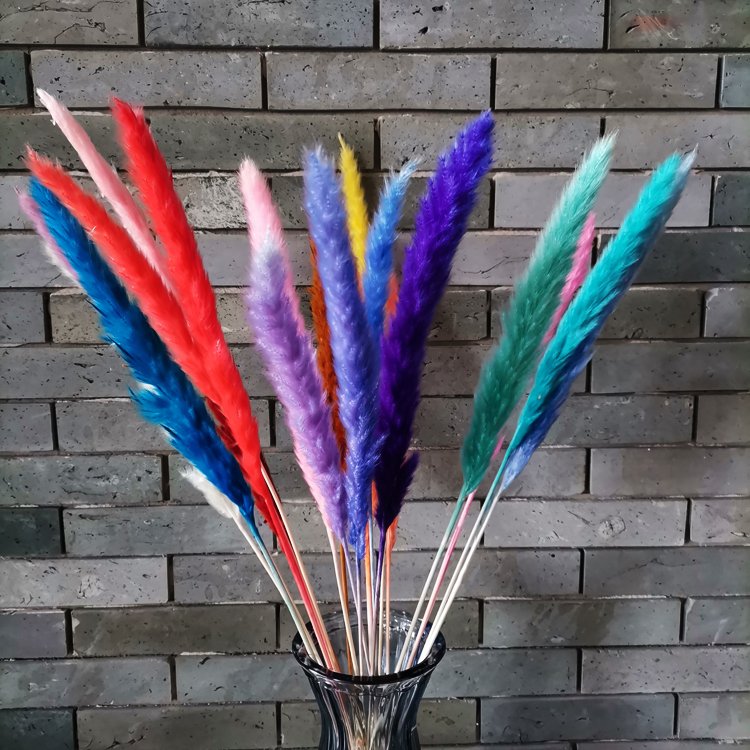 sumflora 2024 new arrivals yellow natural eternal flower best quality dried flowers small pampas grass