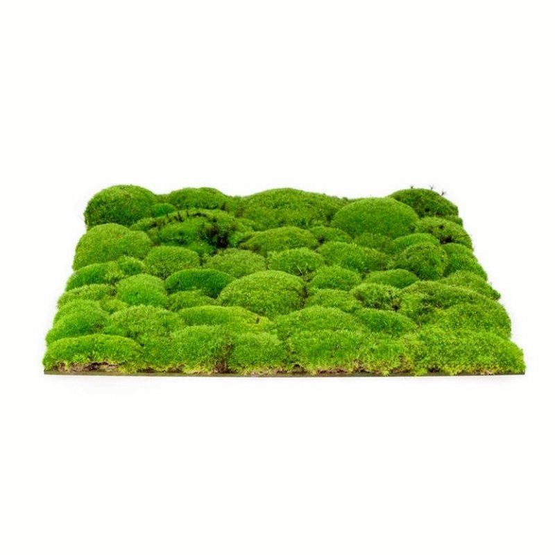 Hot Product Customized Green Simulated Moss Wall Artificial Moss Sheet Moss Panel For Decor