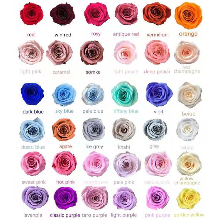 BX-3 wholesale flowers rose eternal in box flower heads real touch forever long lasting decorative flowers preserved rose roses