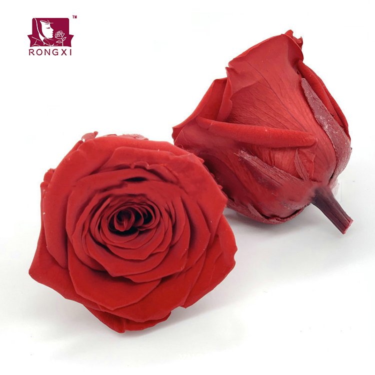 BX-3 wholesale flowers rose eternal in box flower heads real touch forever long lasting decorative flowers preserved rose roses