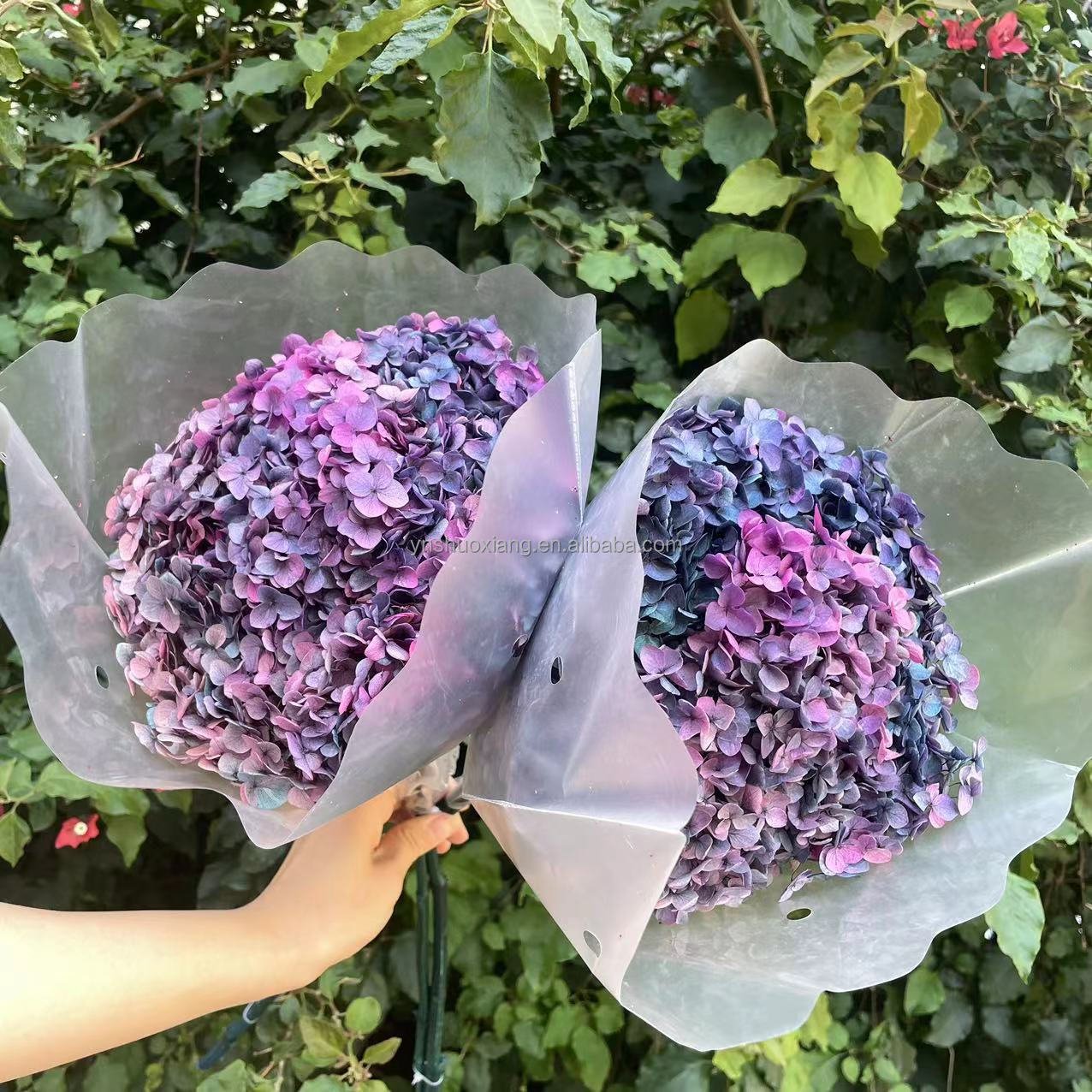 New product ideas 2023 INS style real touch preserved hydrangea flower hydrangea for wedding home decoration