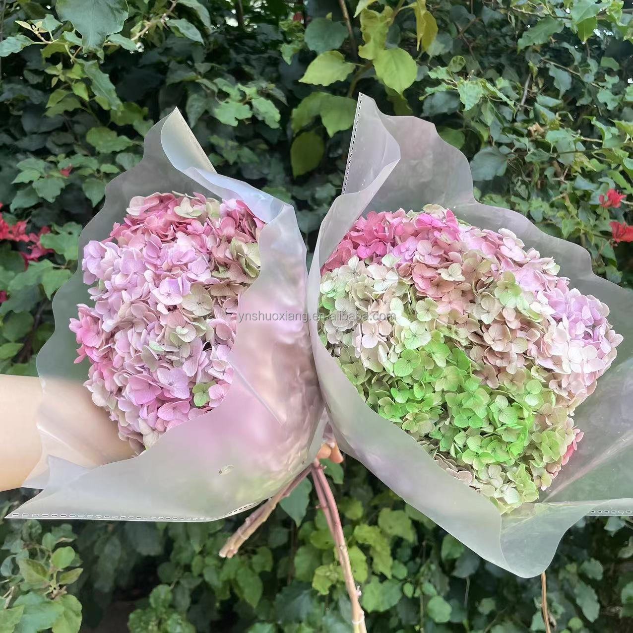 New product ideas 2023 INS style real touch preserved hydrangea flower hydrangea for wedding home decoration