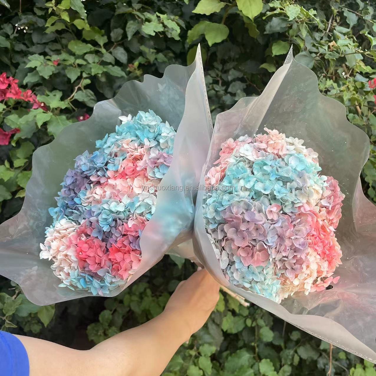 New product ideas 2023 INS style real touch preserved hydrangea flower hydrangea for wedding home decoration
