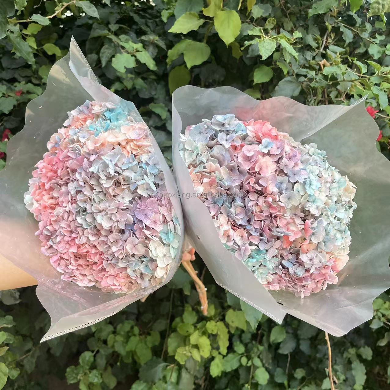 New product ideas 2023 INS style real touch preserved hydrangea flower hydrangea for wedding home decoration