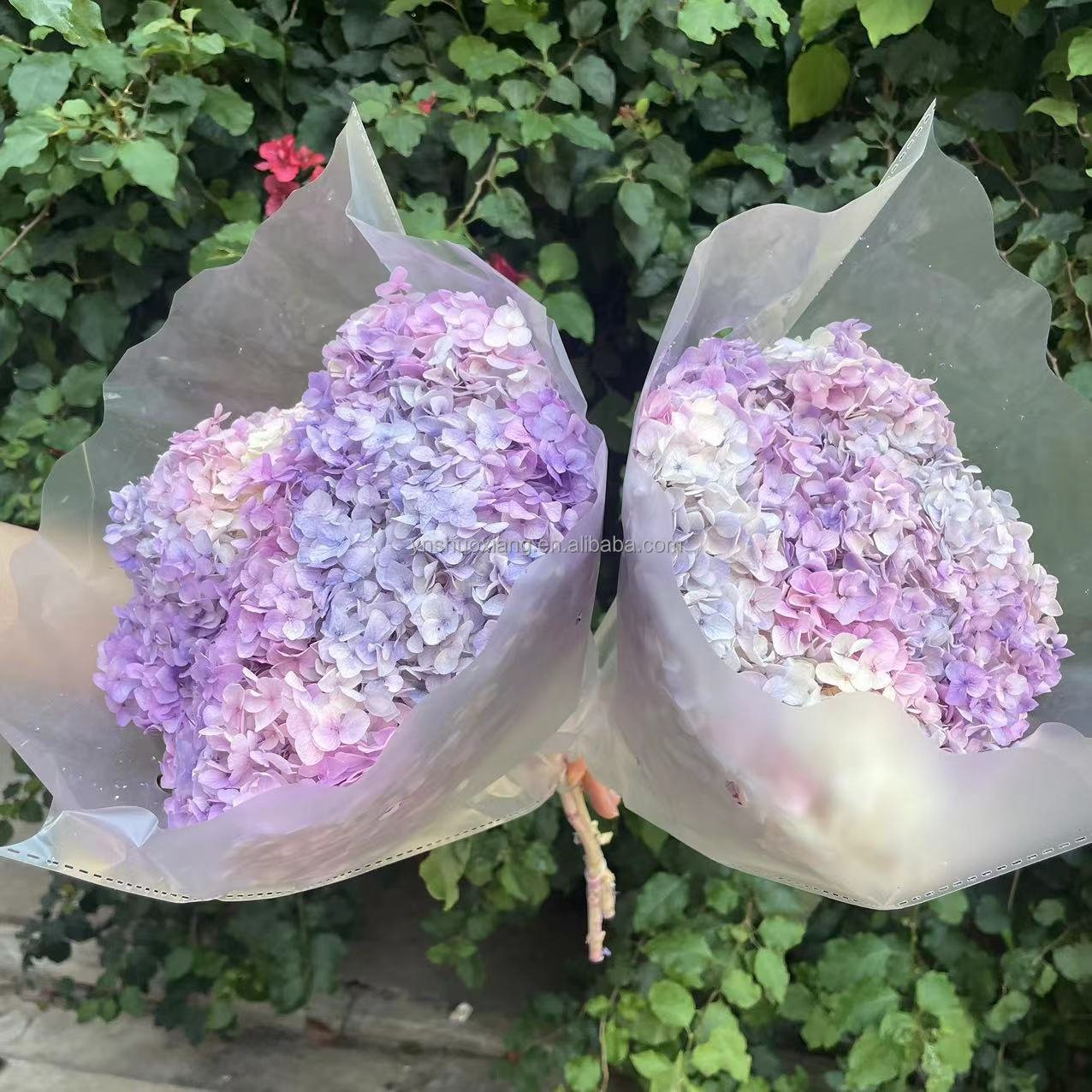 New product ideas 2023 INS style real touch preserved hydrangea flower hydrangea for wedding home decoration