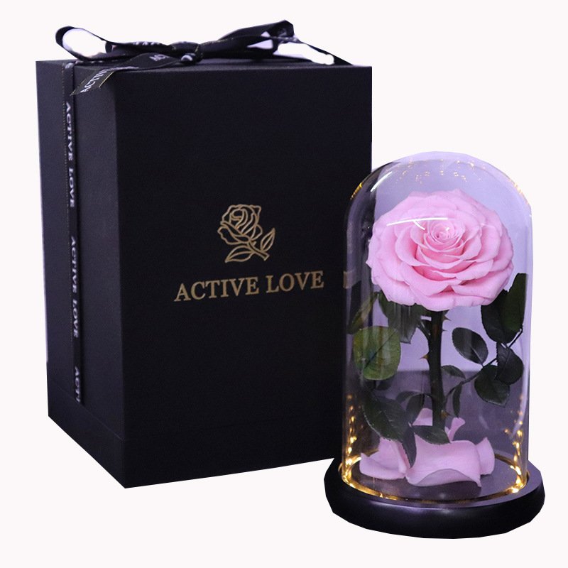 Best Selling Real Touch Preserved Roses High Quality Infinite Roses Eternal Flowers in LED Light Glass Dome for Christmas Gift