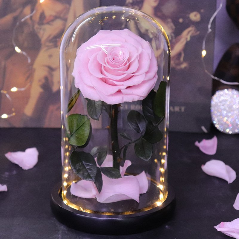 Best Selling Real Touch Preserved Roses High Quality Infinite Roses Eternal Flowers in LED Light Glass Dome for Christmas Gift