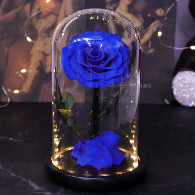 Best Selling Real Touch Preserved Roses High Quality Infinite Roses Eternal Flowers in LED Light Glass Dome for Christmas Gift