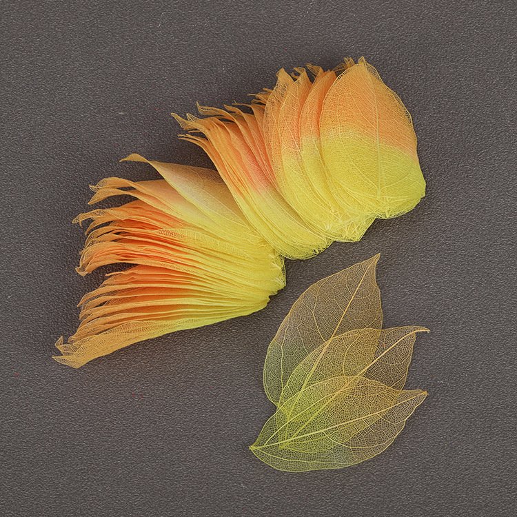 VEIN Natural leaves diamond vein specimens color reticulated leaves wholesale handmade DIY materials dedicated preserved flowers