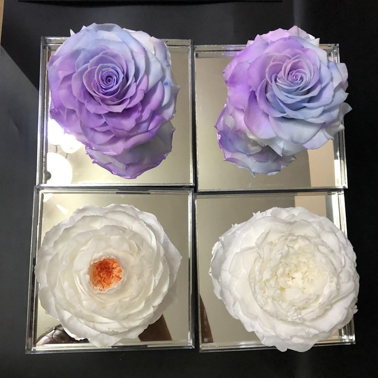 Wholesale Preserved flower acrylic Gift Box Valentine's Day gift for girlfriend super big single rose flower