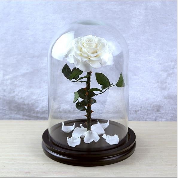 Beauty and the Beast 2019 Preserved Eternal Roses Flowers Wholesale Stabilized Decorative Forever Roses in Glass Dome