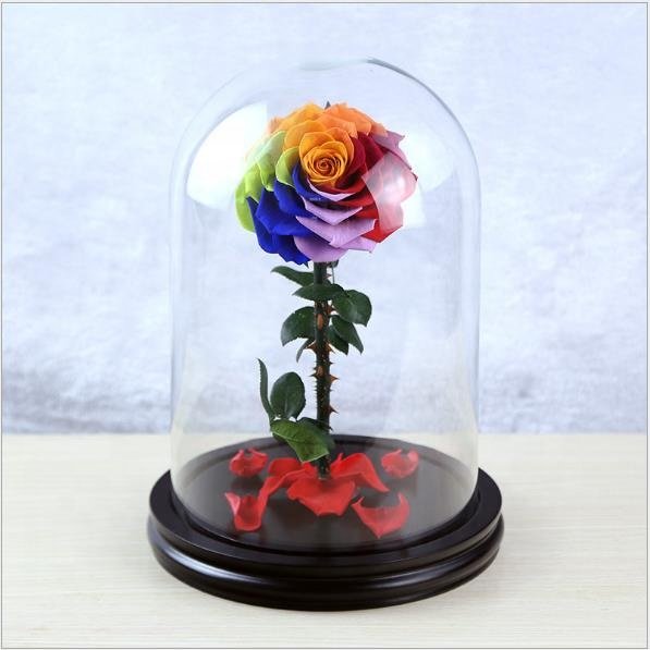 Beauty and the Beast 2019 Preserved Eternal Roses Flowers Wholesale Stabilized Decorative Forever Roses in Glass Dome
