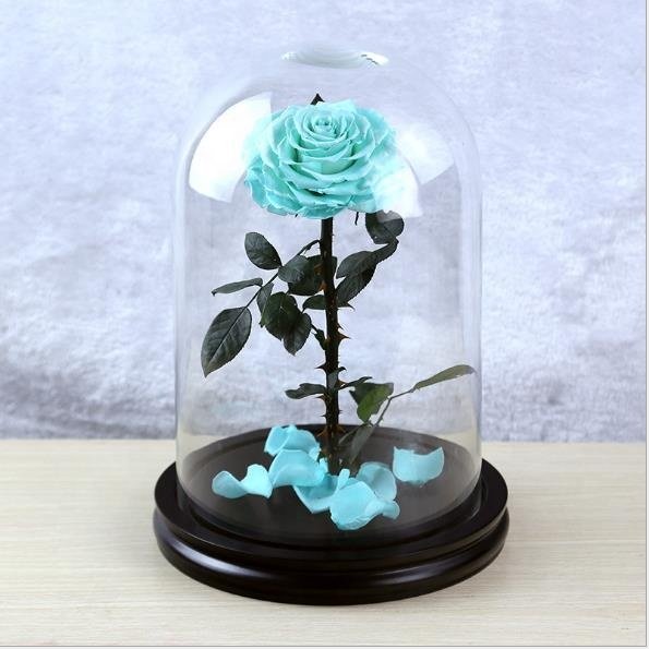 Beauty and the Beast 2019 Preserved Eternal Roses Flowers Wholesale Stabilized Decorative Forever Roses in Glass Dome
