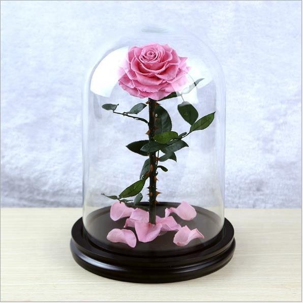 Beauty and the Beast 2019 Preserved Eternal Roses Flowers Wholesale Stabilized Decorative Forever Roses in Glass Dome