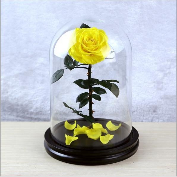 Beauty and the Beast 2019 Preserved Eternal Roses Flowers Wholesale Stabilized Decorative Forever Roses in Glass Dome
