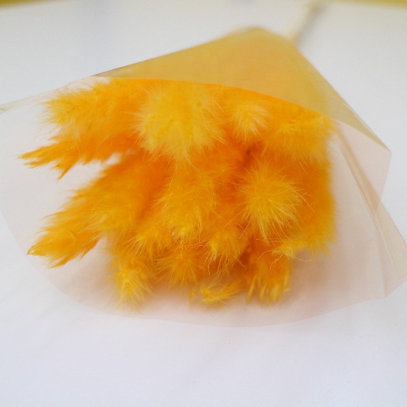 Hot Natural Bouquet Preserved Flowers & Plants Dried Natural Pampas Grass for Wedding Valentine's Day Christmas