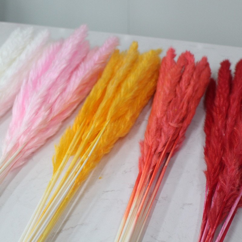 Hot Natural Bouquet Preserved Flowers & Plants Dried Natural Pampas Grass for Wedding Valentine's Day Christmas