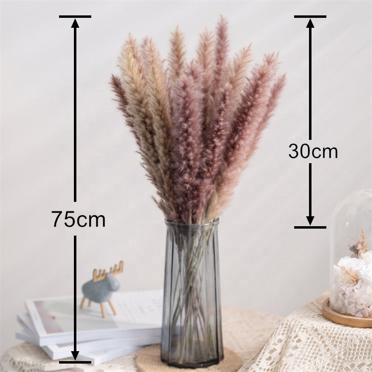 Hot Natural Bouquet Preserved Flowers & Plants Dried Natural Pampas Grass for Wedding Valentine's Day Christmas