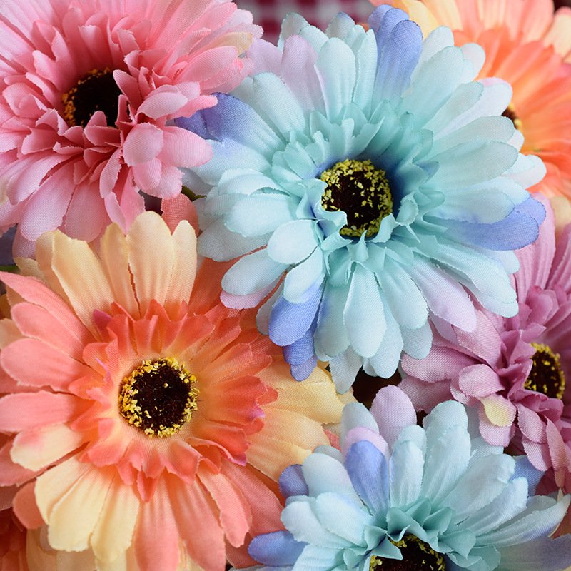 Single African Chrysanthemum Small African Daisy Barberton Daisy Sunflower Gerbera for the Wedding & Hotels & Home Decoration