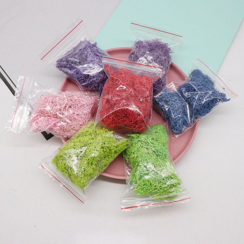BLH 10g High Quality Preserved Moss Green Natural Moss For Indoor Wall Decoration