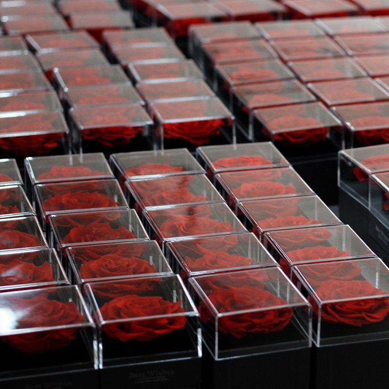 Exquisite design 100% natural roses Eternal Natural Preserved Roses Flowers Acrylic Jewelry Box Case