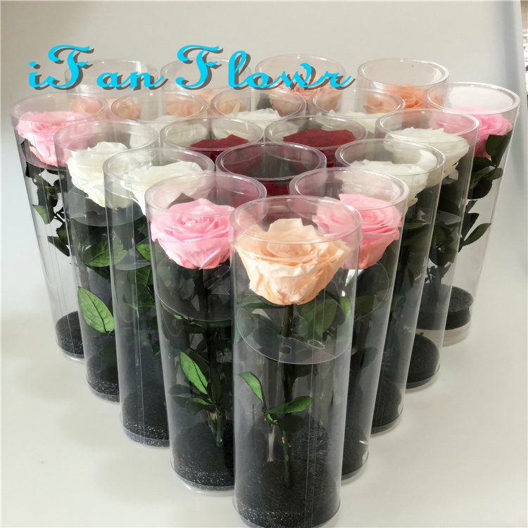 Japan rose real eternal rose DIY preserved rose flower with stems